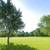 0.63 - Acre Residential Lot in Crown Point IN. CONTRACT FOR ASSIGNMENT 3 thumbnail