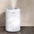 LEVOIT Cool Mist Air Humidifier $40 OBO 1 thumbnail