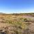 1.5 Acres in Luna County – Power Close By 5 thumbnail