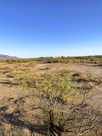 $5,000 1.5 Acres in Luna County – Power Close By (Deming, NM)64047885941635124