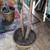 2 BIG 7 & 6-3 Foot Artificial Fake FICUS Silk Leaf Faux Plant Tree 13 thumbnail