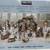 14 pcs Christmas Nativity Set Kirkland Signature (from Costco 2024) 4 thumbnail
