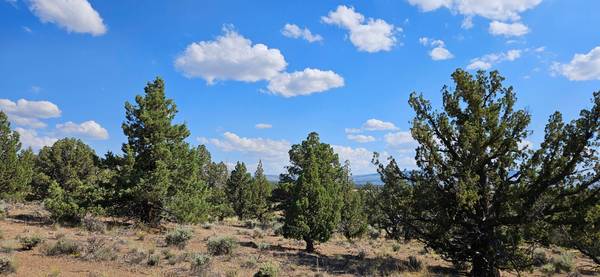 $50,000 10 acres de terreno recreativo (Prineville)63839289796737123