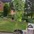 Rose of Sharon Hibiscus Live Shrub Azurri Blue Satin 3 ft Starter tree 3 thumbnail
