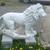 Large Pair of  Large  Lion Concrete Statues 6 thumbnail