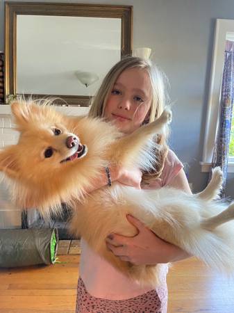 Passion Project Dog Care (Kerns/Sunnyside)63916332512386120