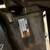 Evinrude 25 Horsepower outboard motor 6 thumbnail