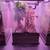Crested gecko with bioactive enclosure. 3 thumbnail