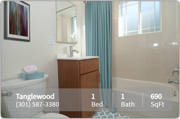 $1,600 / 1br - 690ft2 - Just right for you! 1 bed, 1 bath. Amazing location in Silver Spring (Silver Spring)63896395206914120