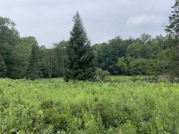 $599,900 LAND . . . 80 acres! (Hately)63845965641475122