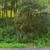 Hickory Hills Lot in Wisconsin Dells 21 thumbnail