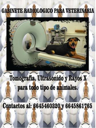 Gabinete de Tomografia, Ultrasonido y Rayos X para Veterinaria 1