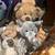 Stuffed Animals 🧸 Plush Toys 7 thumbnail