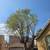 🏠CRUZ's Gardening Services. Maintenance, Clean Up, more. References🏠 7 thumbnail