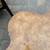Brass and Burl quatrefoil end table by Mastercraft A125 8 thumbnail