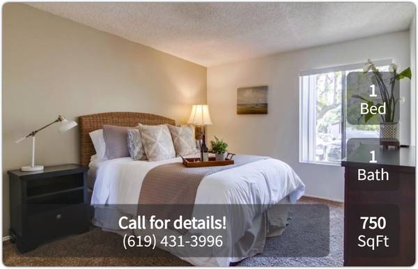 $2,195 / 1br - 750ft2 - A new perspective on living: 1 BR, 1 BA, 750 Sq Ft! (La Mesa - Near Costco and 8 Freeway)63865932656643121