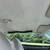 1971 Charger R/T 440 Automatic 9 thumbnail