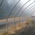 Poly-Tex FieldPro Gothic High Tunnel (Reduced price!) 4 thumbnail