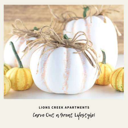 $1,299 / 2br - 908ft2 - Carve Out a Great Lifestyle at Lions Creek | (NOBLESVILLE)63989076612995120