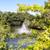 Wood Burning Fireplace, Premier Amenities, Sparkling Pool, Sauna! 7 thumbnail