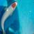 Koi fish tancho 2 thumbnail