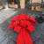 Giant Red Bow 1 thumbnail