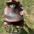 14.5” Simco trail saddle 6 thumbnail