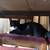 Kitten 2 thumbnail