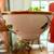 Lenox Dimension Collection Holiday Bowl 6” wide 4 thumbnail