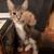 Long-haired Cat 3 thumbnail