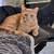 small Rehoming fee may apply 5 thumbnail