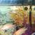 Freshwater cichlids 8 thumbnail