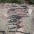 Kendon Motorcycle Trailer, 3 bikes capacity, stand-up, utility box 13 thumbnail