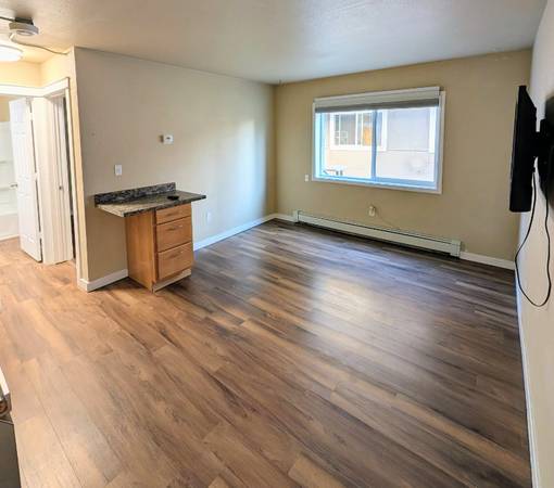 1 1 Bed 1 Bath Downtown 1