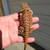 Bearded Dragon 3 thumbnail