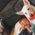 Rehoming 6 yr old white German shepherd 3 thumbnail