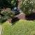 Jose’s landscaping llc / mowing, mulching, yard cleaning and more 13 thumbnail