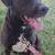 URGENT RE-HOME NEEDED 9 thumbnail