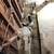 CARPENTER / CARPENTRY / GENERAL CONTRACTOR / CUSTOM WOODWORKS 10 thumbnail