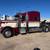 Peterbilt 389 4 thumbnail