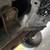 Jeep TJ Wrangler Automatic AC 4.0 6 cyl Hardtop 13 thumbnail