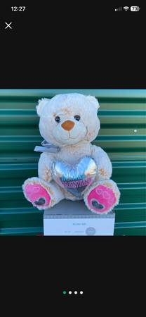 Be my Valentine Bear, 12" tall (sitting) 1