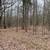 Real Estate 9 thumbnail