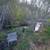 Price Reduction! NO Covenants 13.5 Acres Hobby Farm/Horses/ Airbnb 4 thumbnail