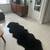 Black 6 X 2 ft sheepskin Rug Throw Black Long Natural Decor 1 thumbnail