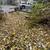 Vacant Land- Lake Villa-BUILDABLE Homesite Near Lake-Reduced Price 4 thumbnail