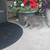 Kittens 17 thumbnail