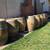 SALE*****Wine barrels planters -tight & Fresh-stored Indoors/just cut! 3 thumbnail