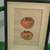 Framed Antique Book Plates - hand colored 8 thumbnail