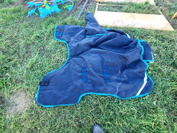 Foal blanket 1